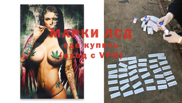 винт Алзамай