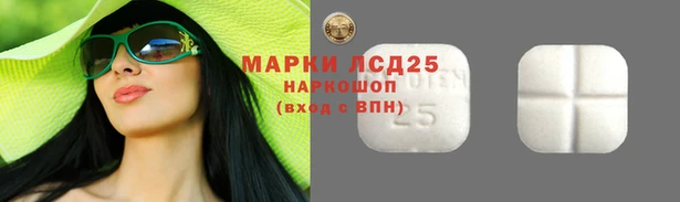 винт Алзамай
