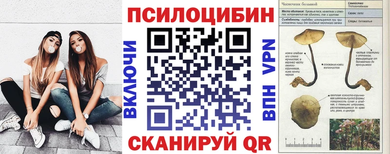 закладки  Болотное  Псилоцибиновые грибы GOLDEN TEACHER 