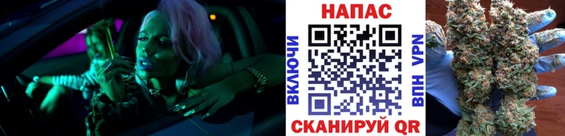 Конопля марихуана  Болотное 